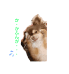 てぃらたろう（個別スタンプ：7）