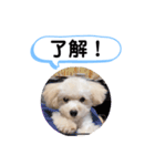 かねねんのうめ吉くん③（個別スタンプ：2）