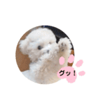 かねねんのうめ吉くん③（個別スタンプ：3）