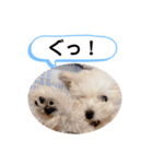 かねねんのうめ吉くん③（個別スタンプ：4）
