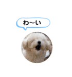 かねねんのうめ吉くん③（個別スタンプ：7）