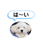 かねねんのうめ吉くん③（個別スタンプ：8）
