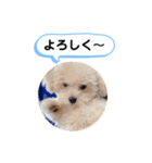 かねねんのうめ吉くん③（個別スタンプ：12）