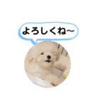 かねねんのうめ吉くん③（個別スタンプ：13）