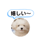 かねねんのうめ吉くん③（個別スタンプ：15）