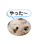 かねねんのうめ吉くん③（個別スタンプ：16）