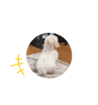 かねねんのうめ吉くん③（個別スタンプ：19）