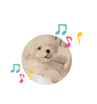 かねねんのうめ吉くん③（個別スタンプ：21）