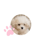 かねねんのうめ吉くん③（個別スタンプ：23）