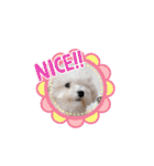 かねねんのうめ吉くん③（個別スタンプ：24）