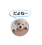 かねねんのうめ吉くん③（個別スタンプ：26）
