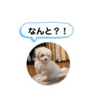 かねねんのうめ吉くん③（個別スタンプ：27）
