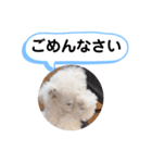 かねねんのうめ吉くん③（個別スタンプ：28）