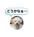 かねねんのうめ吉くん③（個別スタンプ：31）