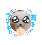かねねんのうめ吉くん③（個別スタンプ：32）
