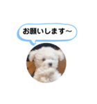 かねねんのうめ吉くん③（個別スタンプ：34）