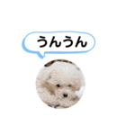 かねねんのうめ吉くん③（個別スタンプ：35）
