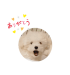 かねねんのうめ吉くん③（個別スタンプ：37）