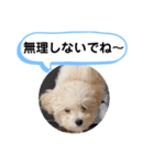 かねねんのうめ吉くん③（個別スタンプ：38）
