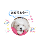 かねねんのうめ吉くん③（個別スタンプ：39）