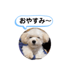 かねねんのうめ吉くん③（個別スタンプ：40）