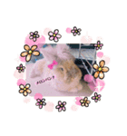 私の大好きなうさちゃんず(๑>◡<๑)（個別スタンプ：3）