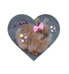 私の大好きなうさちゃんず(๑>◡<๑)（個別スタンプ：5）