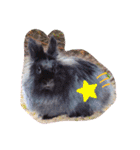 私の大好きなうさちゃんず(๑>◡<๑)（個別スタンプ：9）