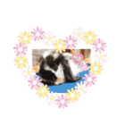 私の大好きなうさちゃんず(๑>◡<๑)（個別スタンプ：11）