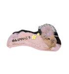 私の大好きなうさちゃんず(๑>◡<๑)（個別スタンプ：13）