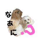 わんにゃんずー（個別スタンプ：8）