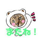 わんにゃんずー（個別スタンプ：9）