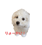 愛犬くぅの日常（個別スタンプ：3）