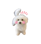 愛犬くぅの日常（個別スタンプ：4）