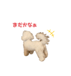 愛犬くぅの日常（個別スタンプ：9）