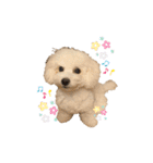 愛犬くぅの日常（個別スタンプ：14）