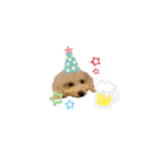 愛犬くぅの日常（個別スタンプ：16）