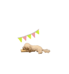 愛犬くぅの日常（個別スタンプ：20）