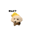 愛犬くぅの日常（個別スタンプ：21）