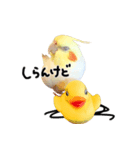 いくらちゃんとDINCHくんの仲良しスタンプ（個別スタンプ：6）