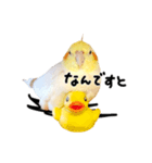 いくらちゃんとDINCHくんの仲良しスタンプ（個別スタンプ：7）