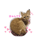 みんばとゆかいな仲間たち♪（個別スタンプ：3）