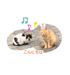 みんばとゆかいな仲間たち♪（個別スタンプ：7）