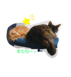 みんばとゆかいな仲間たち♪（個別スタンプ：8）