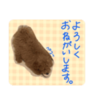 こんにちは、こなです！（個別スタンプ：2）