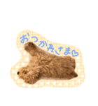 こんにちは、こなです！（個別スタンプ：3）