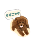 こんにちは、こなです！（個別スタンプ：5）