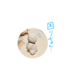 こんにちは、こなです！（個別スタンプ：8）