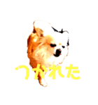 ララ君の日常スタンプ（個別スタンプ：3）