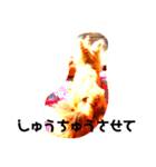 ララ君の日常スタンプ（個別スタンプ：13）